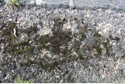 Photo Textures of Ground Mixed